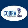 Cobra Security Systems
