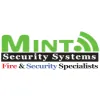 Mint Security Systems