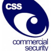 Commercial Security Systems